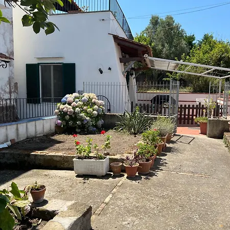 فيلة Casa Maria Porto *